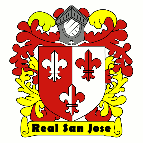 Real San Jose 2007-Pres Primary Logo t shirt iron on transfers